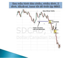 Sau mẫu hình đảo chiều, nhiều đỉnh, 2
đỉnh, đầu&vai, base tốt để thiết lập MBO
 