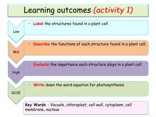 Learning outcomes (activity 1)
Low
• Label the structures found in a plant cell
Mid
• Describe the functions of each structure found in a plant cell.
High
• Evaluate the importance each structure plays in a plant cell
GCSE
• Write down the word equation for photosynthesis
Key Words - Vacuole, chloroplast, cell wall, cytoplasm, cell
membrane, nucleus
 