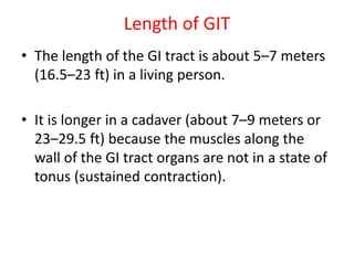 1. Overview of The Digestive system by D Siwale.pptx
