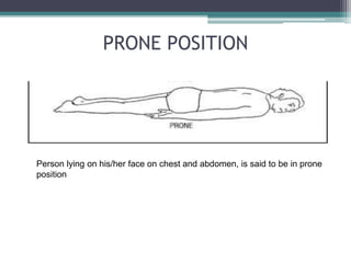 Prone Position Examples 1. Anatomy Introduction & Nomenclature.pptx
