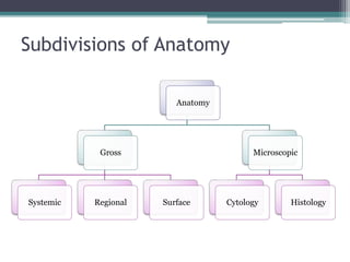 1. Anatomy Introduction & Nomenclature.pptx