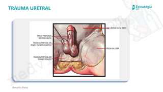 medvideos.com
Cópia não é roubo ♥
Renatha Paiva
TRAUMA URETRAL
medvideos.com
Cópia não é roubo ♥
 