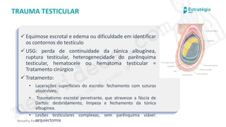 medvideos.com
Cópia não é roubo ♥
Renatha Paiva
TRAUMA TESTICULAR
✓ Equimose escrotal e edema ou dificuldade em identificar
os contornos do testículo
✓ USG: perda de continuidade da túnica albugínea,
ruptura testicular, heterogenecidade do parênquima
testicular, hematocele ou hematoma testicular =
Tratamento cirúrgico
✓ Tratamento:
• Lacerações superficiais do escroto: fechamento com suturas
absorvíveis.
• Traumatismo escrotal penetrante, que atravesse a fáscia de
Dartos: desbridamento, limpeza e fechamento da túnica
albugínea.
• Lesões testiculares complexas, sem parênquima viável:
orquiectomia
medvideos.com
Cópia não é roubo ♥
 