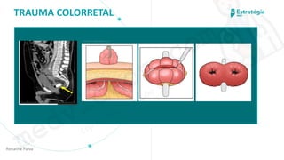 medvideos.com
Cópia não é roubo ♥
TRAUMA COLORRETAL
Renatha Paiva
medvideos.com
Cópia não é roubo ♥
 