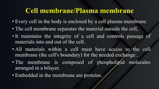Cell membrane/Plasma membrane
• Every cell in the body is enclosed by a cell plasma membrane.
• The cell membrane separates the material outside the cell,
• It maintains the integrity of a cell and controls passage of
materials into and out of the cell.
• All materials within a cell must have access to the cell
membrane (the cell's boundary) for the needed exchange .
• The membrane is composed of phospholipid molecules
arranged in a bilayer.
• Embedded in the membrane are proteins.
 