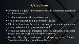 Cytoplasm
• Cytoplasm is a jelly-like substance that is sometimes described
as "the cell-matrix".
• It is the medium for chemical reaction.
• It holds the organelles in place within the cell.
• All of the functions for cell expansion, growth and replication
are carried out in the cytoplasm of a cell.
• Within the cytoplasm, materials move by diffusion, a physical
process that can work only for short distances.
• Site for Glycolysis and most of gluconeogenesis; Pentose
Phosphate shunt; Fatty acid biosynthesis.
 