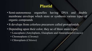 Plastid
• Semi-autonomous organelles having DNA and double
membrane envelope which store or synthesis various types of
organic compounds
• It develops from colorless precursors called protoplastids
• Depending upon their color, they ae of three main types;
• Leucoplasts (Amyloplasts, Elaioplasts and Aleuroplasts)/(Leucos)
• Chromoplasts (Chroma)
• Chloroplasts (Chloros)
 