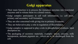 Golgi apparatus
• Their main function is to process the immature enzymes into functional
enzymes and to release them in a closed vesicle.
• Golgi complex participates in cell wall information, i.e. cell plate,
primary and secondary wall formation.
• They are also concerned with giving rise to primary lysosome.
• They are believed to play a role in regulation of fluid balance.
• Golgi complex is supposed to play a role in phospholipid synthesis, lipid
absorption etc.
• The packaging of secretory materials, example- mucin, enzyme, milk
lactoprotein, melanin pigment etc., which are to be discharged from the
cell.
 