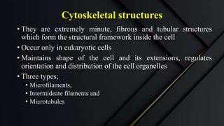 Cytoskeletal structures
• They are extremely minute, fibrous and tubular structures
which form the structural framework inside the cell
• Occur only in eukaryotic cells
• Maintains shape of the cell and its extensions, regulates
orientation and distribution of the cell organelles
• Three types;
• Microfilaments,
• Intermideate filaments and
• Microtubules
 