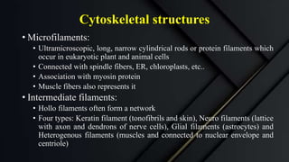 Cytoskeletal structures
• Microfilaments:
• Ultramicroscopic, long, narrow cylindrical rods or protein filaments which
occur in eukaryotic plant and animal cells
• Connected with spindle fibers, ER, chloroplasts, etc..
• Association with myosin protein
• Muscle fibers also represents it
• Intermediate filaments:
• Hollo filaments often form a network
• Four types: Keratin filament (tonofibrils and skin), Neuro filaments (lattice
with axon and dendrons of nerve cells), Glial filaments (astrocytes) and
Heterogenous filaments (muscles and connected to nuclear envelope and
centriole)
 