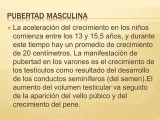 PUBERTAD MASCULINA
 La aceleración del crecimiento en los niños
comienza entre los 13 y 15,5 años, y durante
este tiempo hay un promedio de crecimiento
de 20 centímetros. La manifestación de
pubertad en los varones es el crecimiento de
los testículos como resultado del desarrollo
de los conductos seminíferos (del semen).El
aumento del volumen testicular va seguido
de la aparición del vello púbico y del
crecimiento del pene.
 