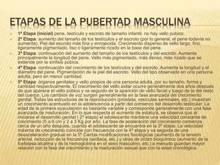 ETAPAS DE LA PUBERTAD MASCULINA
 1ª Etapa (inicial) pene, testículo y escroto de tamaño infantil. no hay vello púbico.
 2ª Etapa: aumento del tamaño de los testículos y el escroto (por lo general, el pene todavía no
aumenta). Piel del escroto más fina y enrojecida. Crecimiento disperso de vello largo, fino,
ligeramente pigmentado, liso o ligeramente rizado en la base del pene.
 3ª Etapa: continuación del aumento del tamaño de los testículos y del escroto. Aumenta
principalmente la longitud del pene. Vello más pigmentado, más denso, más rizado que se
extiende por la sínfisis púbica.
 4ª Etapa: continuación del crecimiento de los testículos y del escroto. Aumenta la longitud y el
diámetro del pene. Pigmentación de la piel del escroto. Vello del tipo observado en una persona
adulta, pero en menor cantidad.
 5ª Etapa: órganos genitales y vello propios de una persona adulta, por su tamaño, forma y
cantidad respectivamente. El crecimiento del vello axilar ocurre generalmente dos años después
de que aparece el vello púbico y va seguido de la aparición de vello facial y luego de la del resto
del cuerpo. Los cambios de voz surgen generalmente en la fase avanzada del crecimiento
genital. Todas las estructuras de la reproducción (próstata, vesículas seminales, etc.) muestran
un crecimiento acentuado en la adolescencia a partir del comienzo del desarrollo testicular. La
edad de la primera eyaculación es bastante variable y corresponde generalmente con una fase
avanzada de maduración. En lo que respecta al aumento de estatura, se observa que al
iniciarse el desarrollo genital ( 2º etapa) el adolescente mantiene una velocidad constante de
crecimiento (5 a 6 cm y 2 a 3 Kg por año. La fase de aceleración del crecimiento comienza
cerca de un año después, cuando el adolescente se encuentra en la 3º etapa. La velocidad
máxima de crecimiento coincide con frecuencia con la 4º etapa y va seguida de una
desaceleración gradual en la 5º.Ciertas modificaciones fisiológicas (aumento de la tensión
arterial, reducción de la frecuencia cardiaca, etc.) y otras de orden bioquímico (aumento de la
fosfatasa alcalina y de la hemoglobina en el sexo masculino, etc.) a menudo guardan mayor
relación con la fase del crecimiento y la maduración sexual que con la edad cronológica.
 