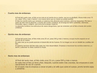  Cuarto mes de embarazo
I. Al final del cuarto mes, el feto ya se nota en el vientre de su madre, que se ve abultado. Ahora mide unos 15
cm, pesa 135 g, más o menos, y se mueve tanto que su madre ya puede sentirlo.
II. El feto ha crecido tanto que necesita un sistema más eficiente para nutrirse y eliminar desechos. Por eso a
partir de este mes la placenta, a través del cordón umbilical, se encarga de darle nutrientes, vitaminas,
minerales, agua y oxigeno, que toma de la sangre materna.
III. La placenta contiene una estructura de vasos sanguíneos, que se conectan con el feto a través del cordón
umbilical.
 Quinto mes de embarazo
I. Al final del quinto mes, el feto mide unos 25 cm, pesa 340 g más o menos y ocupa mucho espacio en el
vientre de su madre.
II. En este mes ya se puede apreciar el desarrollo de los huesos. En la imagen se ven en detalle las costillas del
feto.
III. El sistema nervioso del feto esta cada vez más desarrollado. Empieza a reconocer los sonidos externos y a
sentir y saborear su dedo cuando lo chupa.
IV.
 Sexto mes de embarazo
I. Al final del sexto mes, el feto mide unos 33 cm y pesa 500 g más o menos.
II. En este mes el feto ya tiene uñas; después, cuando estén más crecidas, las empezara a usar,
rascándose de vez en cuando.
III. En el sexto mes le empieza a crecer el pelo y el vello que cubre el cuerpo, pronto tendrá cejas
y pestañas.
 