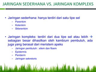 JARINGAN SEDERHANA VS. JARINGAN KOMPLEKS
• Jaringan sederhana: hanya terdiri dari satu tipe sel
- Parenkim
- Kolenkim
- Sklerenkim
• Jaringan kompleks: terdiri dari dua tipe sel atau lebih à
sebagian besar dihasilkan oleh kambium pembuluh, ada
juga yang berasal dari meristem apeks
- Jaringan pembuluh : xilem dan floem
- Epidermis
- Periderm
- Jaringan sekretoris
 