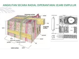 ANGKUTAN SECARA RADIAL DIPERANTARAI JEJARI EMPULUR
 