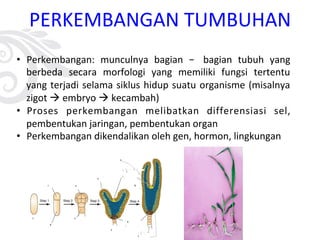 PERKEMBANGAN TUMBUHAN
• Perkembangan: munculnya bagian – bagian tubuh yang
berbeda secara morfologi yang memiliki fungsi tertentu
yang terjadi selama siklus hidup suatu organisme (misalnya
zigot à embryo à kecambah)
• Proses perkembangan melibatkan differensiasi sel,
pembentukan jaringan, pembentukan organ
• Perkembangan dikendalikan oleh gen, hormon, lingkungan
 