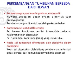 PERKEMBANGAN TUMBUHAN BERBEDA
DARI HEWAN
§ Perkembangan pasca-embryonik vs. embryonik
Hewan: sebagian besar organ dibentuk saat
embryogenesis
Tumbuhan: organ dibentuk setelah perkecambahan
§ Komitmen sel untuk differensiasi
Sel hewan: komitmen bersifat irreversible terhadap
nasib yang telah ditentukan
Sel tumbuhan: komitmen jarang yang irreversible
§ Nasib sel tumbuhan ditentukan oleh posisinya dalam
organisme
Posisi sel ditentukan oleh bidang pembelahan. Informasi
posisi berasal dari komunikasi sinyal kimia antar sel
 