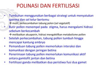 POLINASI DAN FERTILISASI
• Tumbuhan menggunakan berbagai strategi untuk menyatukan
sperma dan sel telur bertemu
à motil, perkecambahan tabung polen (sel vegetatif)
• Butir pollen menempel pada stigma, harus mengalami hidrasi
sebelum berkecambah
à melibatkan akuaporin, hidrasi mengaktifkan metabolisme pollen
• Setelah perkecambahan, tabung pollen tumbuh hingga
mencapai kantung embryo
• Pemanduan tabung pollen memerlukan interaksi dan
komunikasi dengan jaringan betina
• Penerimaan tabung pollen memerlukan komunikasi aktif
antara gamtofit jantan dan betina
• Fertilisasi ganda melibatkan dua peristiwa fusi dua gamet
 
