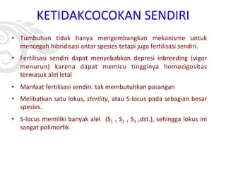 KETIDAKCOCOKAN SENDIRI
• Tumbuhan tidak hanya mengembangkan mekanisme untuk
mencegah hibridisasi antar spesies tetapi juga fertilisasi sendiri.
• Fertilisasi sendiri dapat menyebabkan depresi inbreeding (vigor
menurun) karena dapat memicu tingginya homozigositas
termasuk alel letal
• Manfaat fertilisasi sendiri: tak membutuhkan pasangan
• Melibatkan satu lokus, sterility, atau S-locus pada sebagian besar
spesies.
• S-locus memiliki banyak alel (S1 , S2 , S3 ,dst.), sehingga lokus ini
sangat polimorfik
 