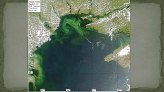 Занятие №1 Екологічні чинники.pptx