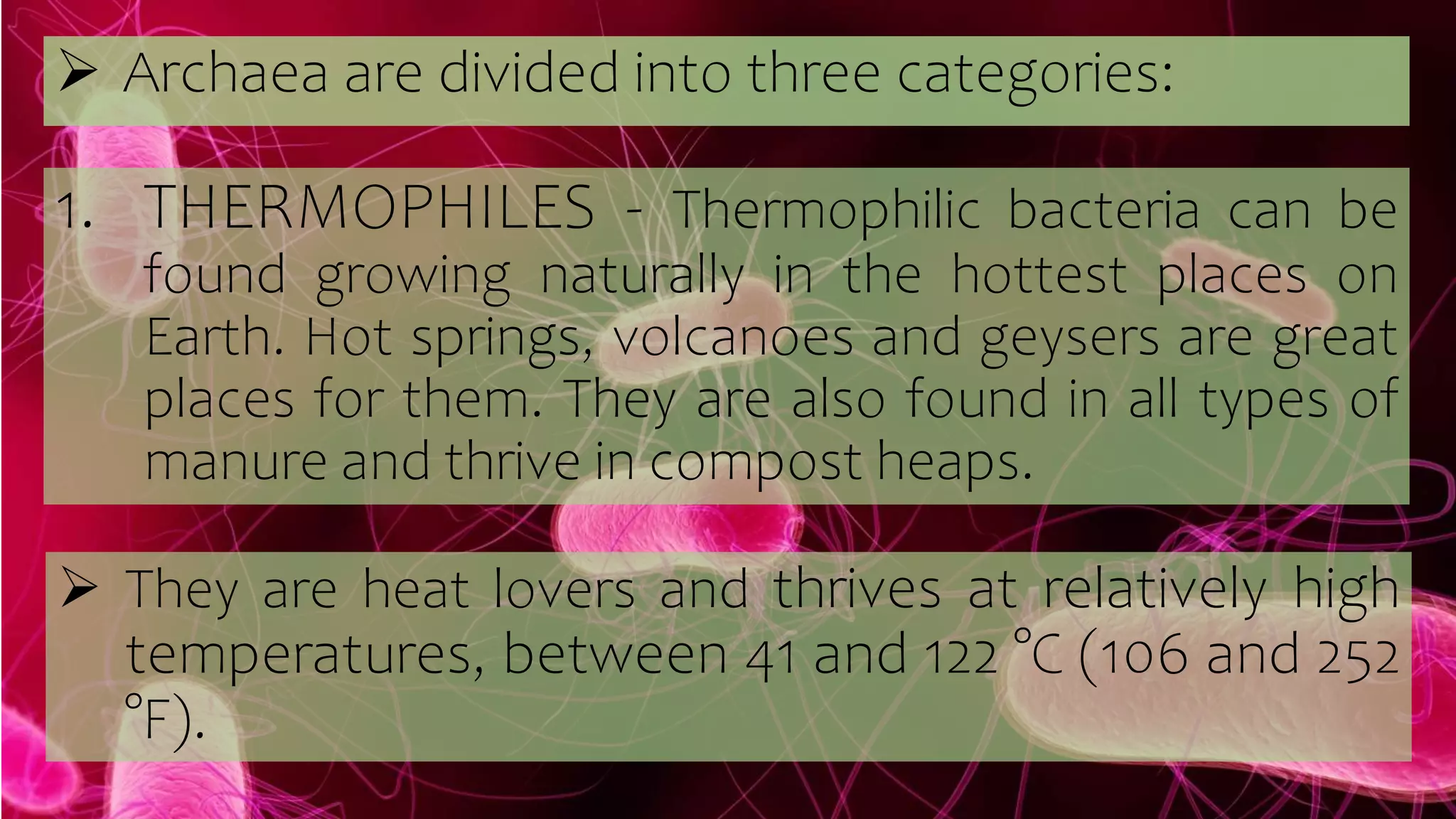 1.-KINGDOM-ARCHAEBACTERIA-EUBACTERIA (1).pptx