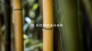 О К О М П А Н И И
 