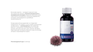 Когда морской еж вырастает, он перестает
изменяться, не стареет, то есть имеет уникальную
особенность — омолаживаться. Эти свойства
вместе с полезными минералами его тканей
(калий, кальций, магний, цинк, железо, фосфор,
йод) присущи экстракту морского ежа, на основе
которого производится сироп.
В основе сиропа — экстракт морского ежа.
Это животное ценится богатым витаминным и
минеральным составом. Морской обитатель всю
свою жизнь употребляет полезные водоросли,
которые синтезируются в целебные
микроэлементы.
Рекомендуемый курс: 3 месяца.
 