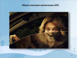 11
Общее описание организации (ИП)
 