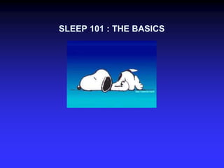 1.1 SLEEP 101 .ppt