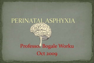 Professor Bogale Worku
Oct 2009
 