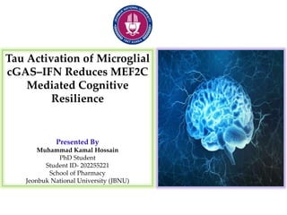 Tau Activation of Microglial
cGAS–IFN Reduces MEF2C
Mediated Cognitive
Resilience
Presented By
Muhammad Kamal Hossain
PhD Student
Student ID- 202255221
School of Pharmacy
Jeonbuk National University (JBNU)
 