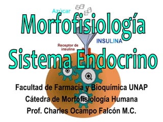 Facultad de Farmacia y Bioquímica UNAP
Cátedra de Morfofisiología Humana
Prof. Charles Ocampo Falcón M.C.
 