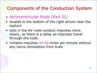 Components of the Conduction System
• Atrioventricular Node (Part II):
• located in the bottom of the right atrium near the
septum
• cells in the AV node conduct impulses more
slowly, so there is a delay as impulses travel
through the node
• initiates impulses 40-60 times per minute without
any nerve stimulation from brain
11
 