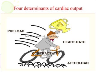 Four determinants of cardiac output
22
Four determinants of cardiac output
Four determinants of cardiac output
 
