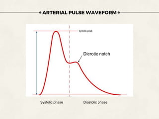 Cardiology 2.1. Pulse - by Dr. Farjad Ikram.pptx