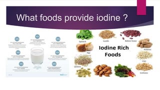 What foods provide iodine ?
 