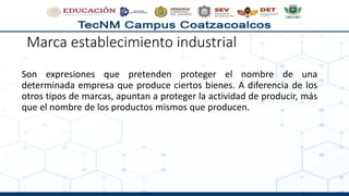 Marca establecimiento industrial
Son expresiones que pretenden proteger el nombre de una
determinada empresa que produce ciertos bienes. A diferencia de los
otros tipos de marcas, apuntan a proteger la actividad de producir, más
que el nombre de los productos mismos que producen.
 
