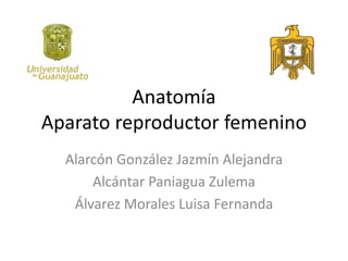 Anatomía
Aparato reproductor femenino
Alarcón González Jazmín Alejandra
Alcántar Paniagua Zulema
Álvarez Morales Luisa Fernanda
 