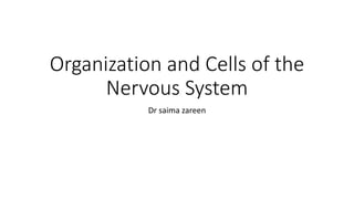 Organization and Cells of the
Nervous System
Dr saima zareen
 