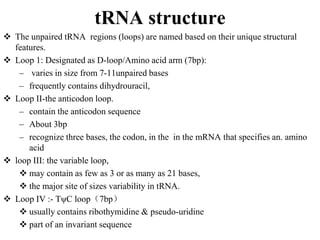 1. Nucleotides and the nucleic acids-1.ppt