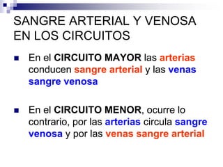 SANGRE ARTERIAL Y VENOSA
EN LOS CIRCUITOS
 En el CIRCUITO MAYOR las arterias
conducen sangre arterial y las venas
sangre venosa
 En el CIRCUITO MENOR, ocurre lo
contrario, por las arterias circula sangre
venosa y por las venas sangre arterial
 