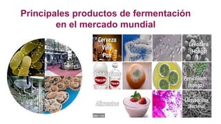 Principales productos de fermentación
en el mercado mundial
 