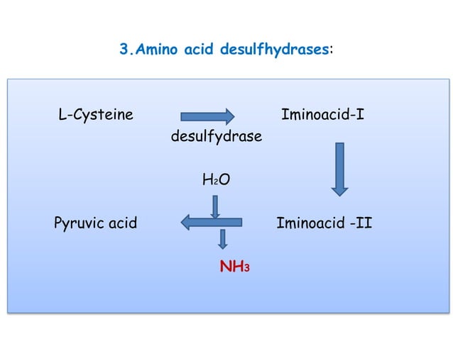 1. FORMATION,TRANSPORT AND DETOXIFICATION OF AMMONIA.pptx | Chemistry ...