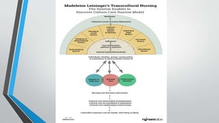 Leininger’s Sunrise Model
 