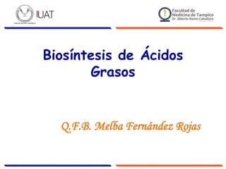 Biosíntesis de Ácidos
Grasos
Q.F.B. Melba Fernández Rojas
 
