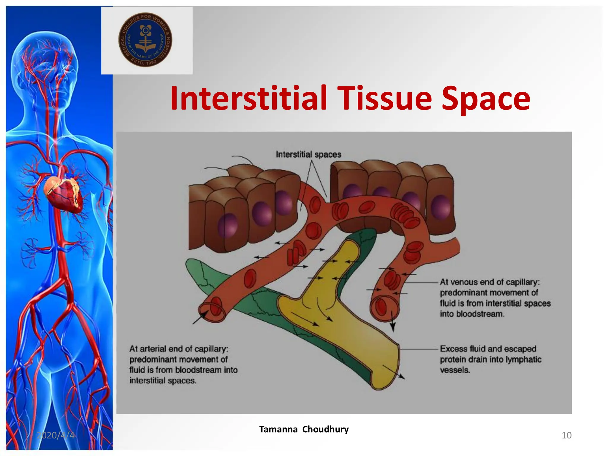 Interstitial Tissue Space
2020/4/4
Tamanna Choudhury
10
 