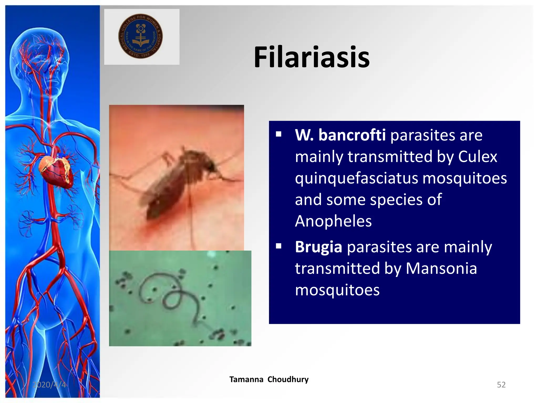 Filariasis
 W. bancrofti parasites are
mainly transmitted by Culex
quinquefasciatus mosquitoes
and some species of
Anopheles
 Brugia parasites are mainly
transmitted by Mansonia
mosquitoes
2020/4/4
Tamanna Choudhury
52
 