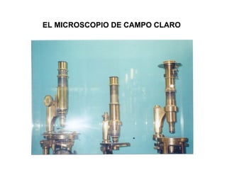 EL MICROSCOPIO DE CAMPO CLARO
 