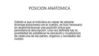 POSICION ANATOMICA
 