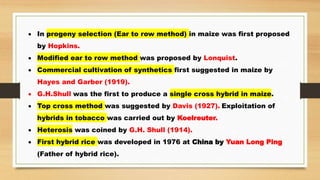  In progeny selection (Ear to row method) in maize was first proposed
by Hopkins.
 Modified ear to row method was proposed by Lonquist.
 Commercial cultivation of synthetics first suggested in maize by
Hayes and Garber (1919).
 G.H.Shull was the first to produce a single cross hybrid in maize.
 Top cross method was suggested by Davis (1927). Exploitation of
hybrids in tobacco was carried out by Koelreuter.
 Heterosis was coined by G.H. Shull (1914).
 First hybrid rice was developed in 1976 at China by Yuan Long Ping
(Father of hybrid rice).
 